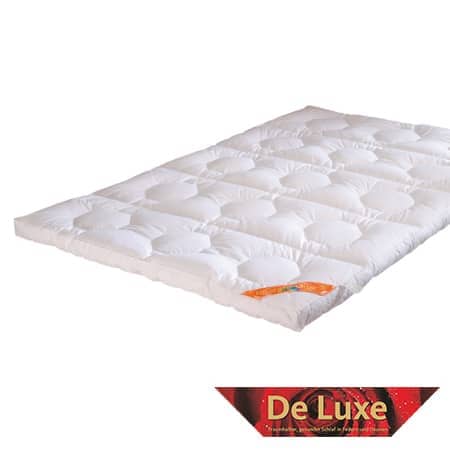 feng-shui-de-luxe-158-vitality.jpg
