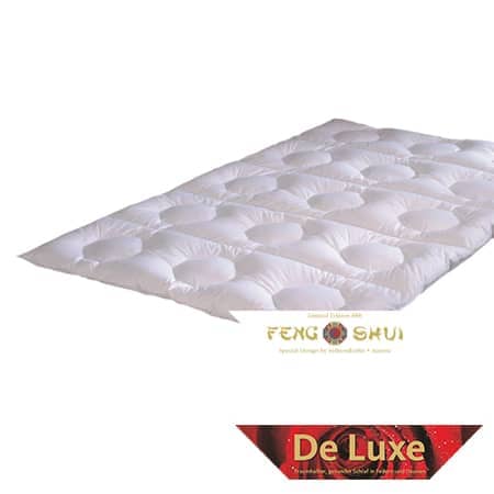 kassettenstegdecke-feng-shui-de-luxe.jpg