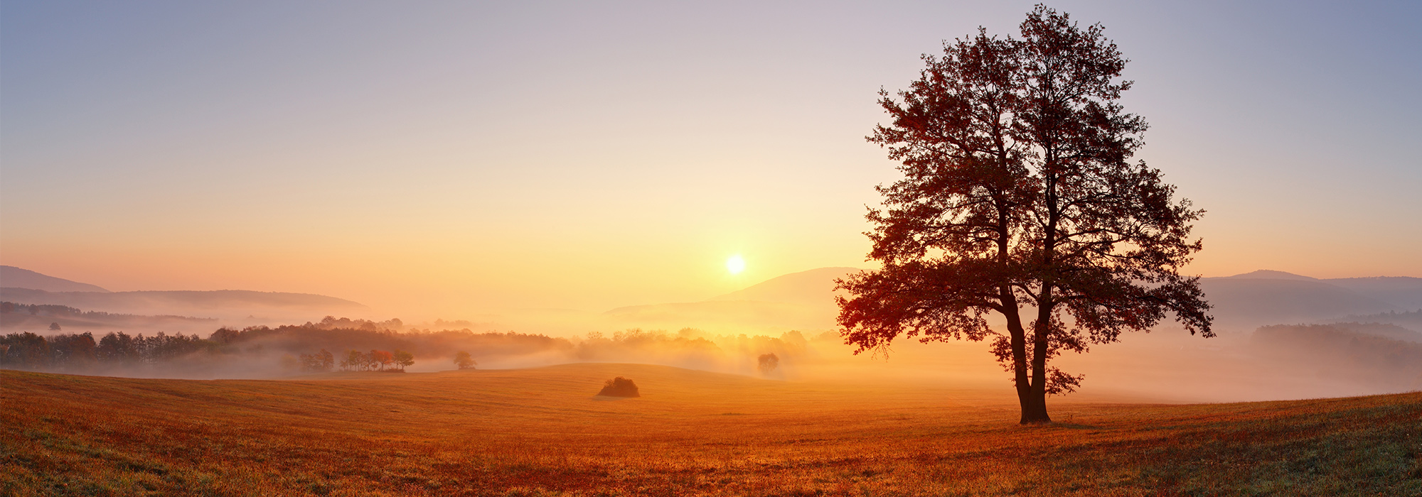 Blog | Zeitumstellung im Herbst
